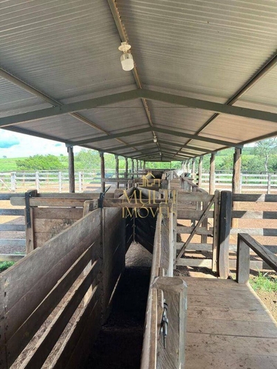 Fazenda-Sítio-Chácara, 1036 hectares - Foto 3