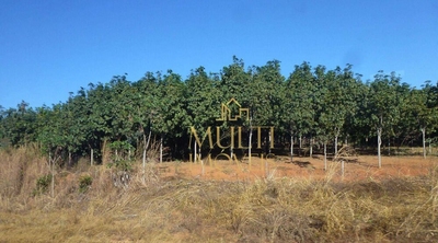 Sítio, 22 hectares - Foto 1