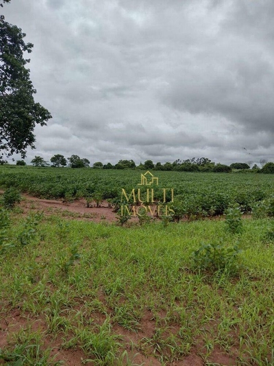 Fazenda-Sítio-Chácara, 59 hectares - Foto 2