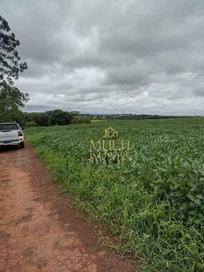 Fazenda-Sítio-Chácara, 59 hectares - Foto 3