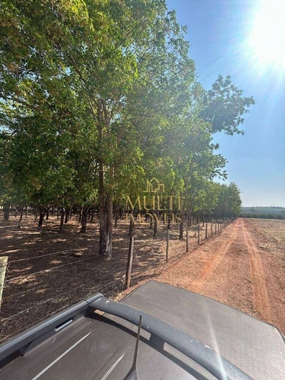 Sítio, 85 hectares - Foto 2