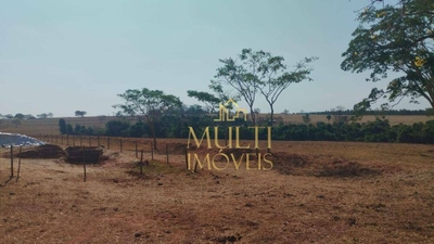 Sítio, 85 hectares - Foto 1