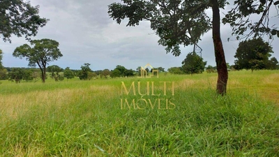 Fazenda, 150 hectares - Foto 3