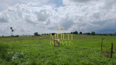 Fazenda-Sítio-Chácara, 242 hectares - Foto 1