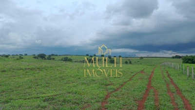 Fazenda-Sítio-Chácara, 242 hectares - Foto 5