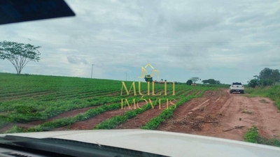 Sítio, 40 hectares - Foto 2