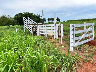 Chácara, 4 hectares - Foto 2