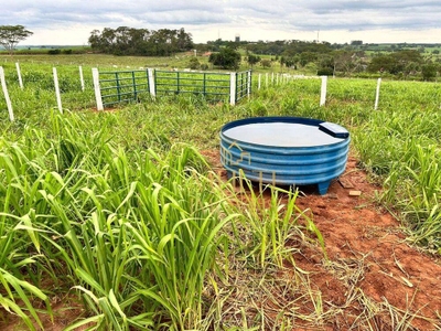 Chácara, 4 hectares - Foto 4