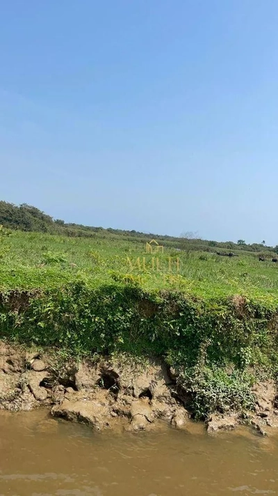 Sítio, 119 hectares - Foto 3