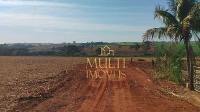 Sítio, 135 hectares - Foto 1