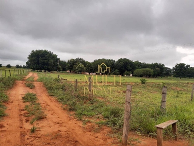 Sítio, 73 hectares - Foto 5