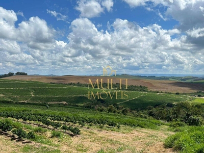 Fazenda-Sítio-Chácara, 320 hectares - Foto 1