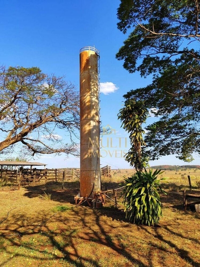 Fazenda-Sítio-Chácara, 298 hectares - Foto 3