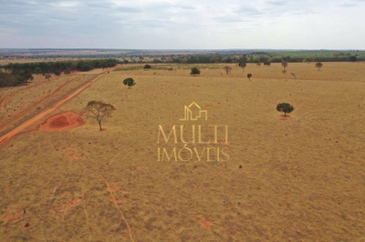 Fazenda-Sítio-Chácara, 235 hectares - Foto 3