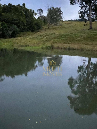 Fazenda-Sítio-Chácara, 232 hectares - Foto 3