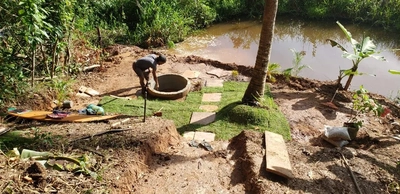 Chácara, 1 hectares - Foto 3