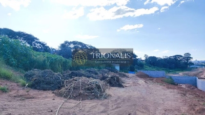 Terreno, 10000 m² - Foto 1