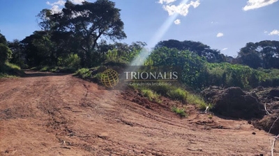 Terreno, 10000 m² - Foto 3