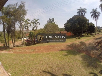 Terreno, 4 hectares - Foto 1