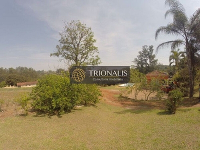 Terreno, 4 hectares - Foto 4