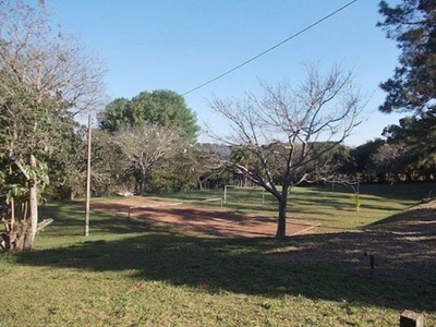 Chácara, 4 quartos, 4 hectares - Foto 2