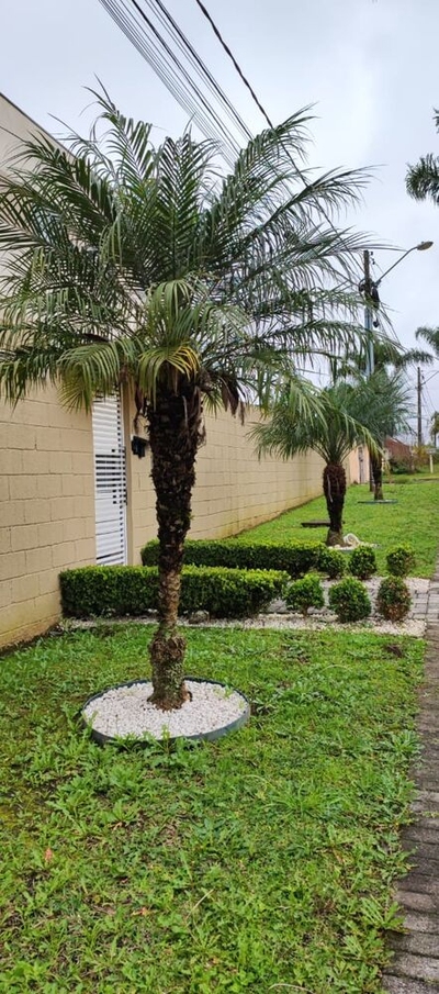 Apartamento, 2 quartos, 47 m² - Foto 3