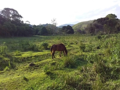 Sítio, 2 quartos, 12 hectares - Foto 1