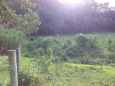 Sítio, 2 quartos, 12 hectares - Foto 5