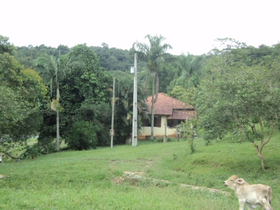 Fazenda, 97 hectares - Foto 3