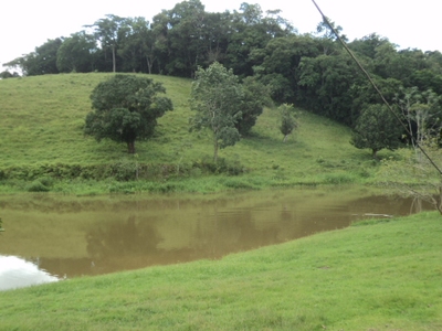 Fazenda, 97 hectares - Foto 5