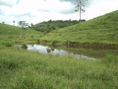 Fazenda, 97 hectares - Foto 4