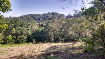 Terreno, 10 hectares - Foto 5