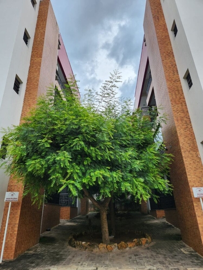 Apartamento, 2 quartos, 58 m² - Foto 3