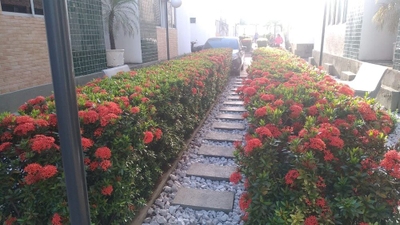 Apartamento, 2 quartos, 58 m² - Foto 2