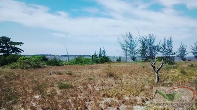 Terreno, 8510 m² - Foto 5