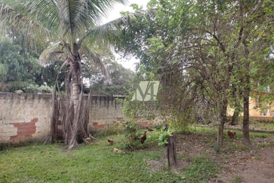 Chácara, 2 quartos, 2455 m² - Foto 5