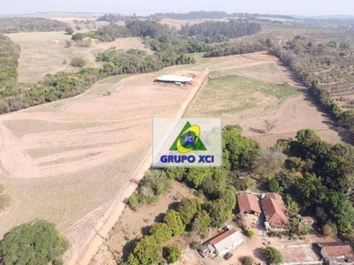 Sítio, 10 hectares - Foto 2