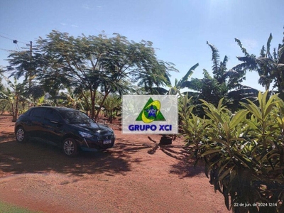 Sítio, 2 hectares - Foto 4