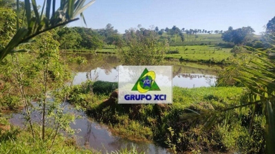 Sítio, 6 hectares - Foto 3