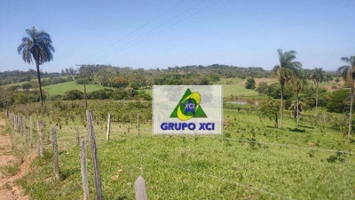 Sítio, 6 hectares - Foto 1