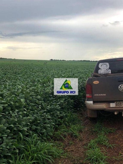 Fazenda-Sítio-Chácara, 2490 hectares - Foto 3