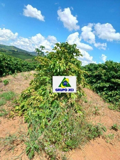 Fazenda-Sítio-Chácara, 126 hectares - Foto 2
