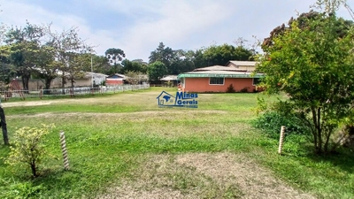 Chácara, 2 quartos, 3120 m² - Foto 2