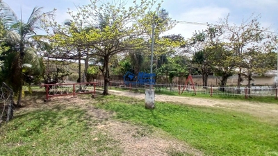 Chácara, 2 quartos, 3120 m² - Foto 4