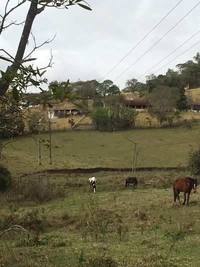 Sítio, 11 hectares - Foto 3