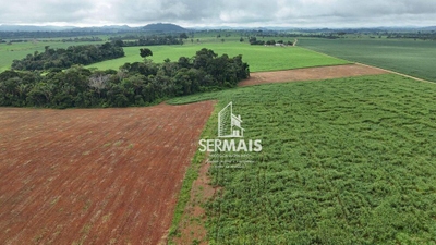 Fazenda-Sítio-Chácara, 2050 hectares - Foto 2