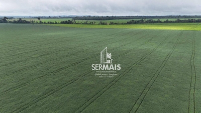 Fazenda-Sítio-Chácara, 2050 hectares - Foto 4