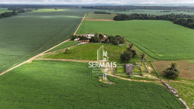 Fazenda-Sítio-Chácara, 2050 hectares - Foto 3