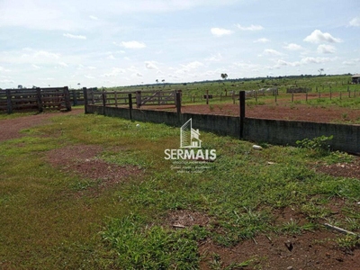 Fazenda, 259 hectares - Foto 2