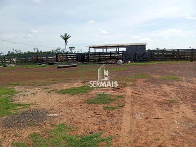 Fazenda, 259 hectares - Foto 1